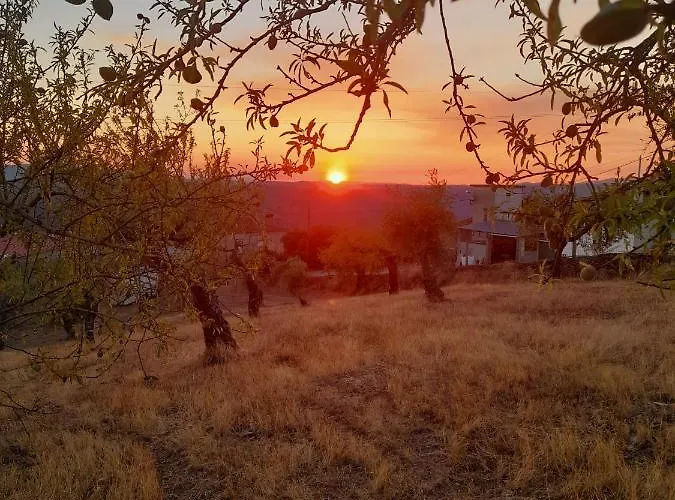 Casinha Da Colina مزرعة للإقامة *